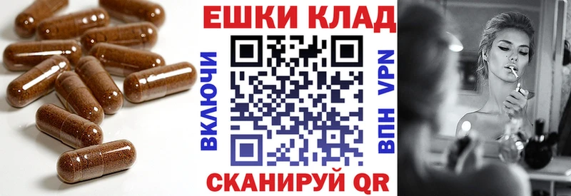 блэк спрут ссылка  Кадников  ЭКСТАЗИ Дубай  где купить наркоту 