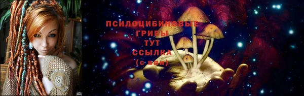 соль ск Зерноград