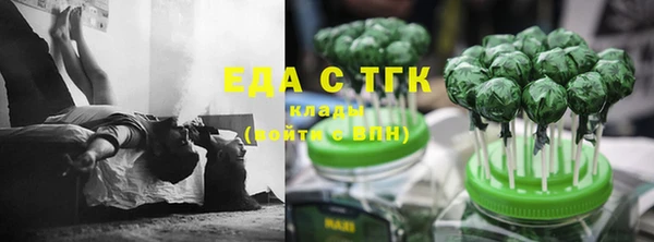 гидра Зеленодольск