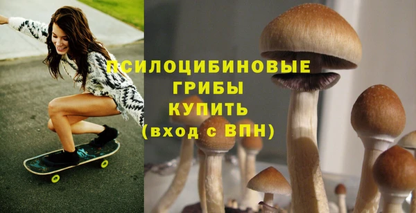 соль ск Зерноград