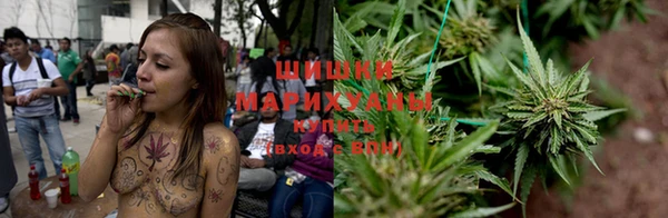 гидра Зеленодольск