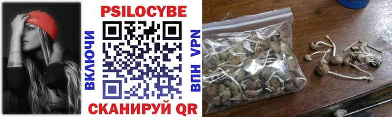 Галлюциногенные грибы прущие грибы  Кадников 